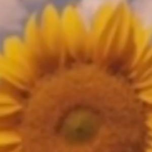 Meet your Posher, Sam